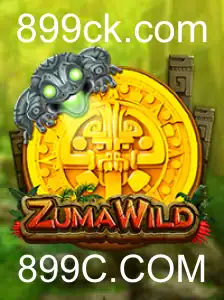 Explorando ZumaWild: Um Olhar Detalhado sobre o Jogo Inovador de 899C.COM